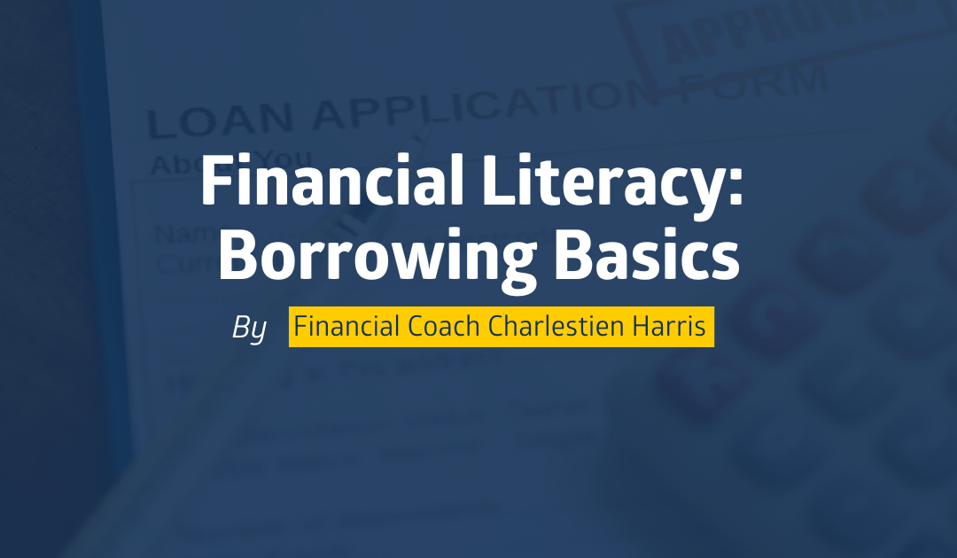 Financial Literacy: Borrowing Basics