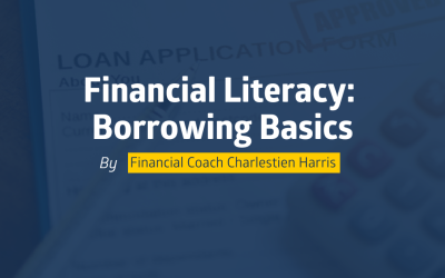 Financial Literacy: Borrowing Basics